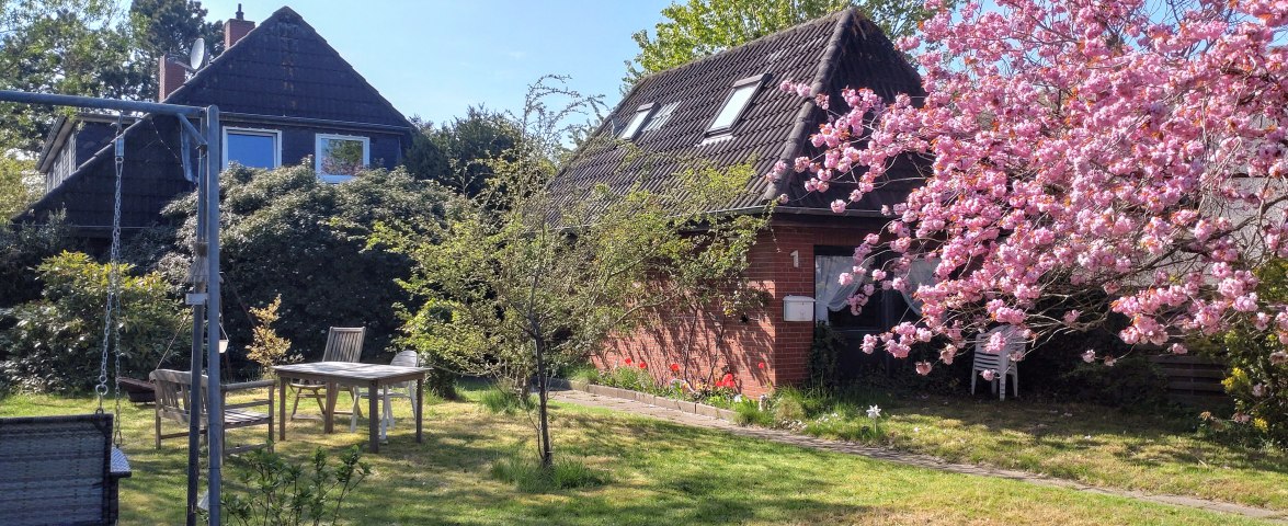 Kirschblüte, © TOMAS