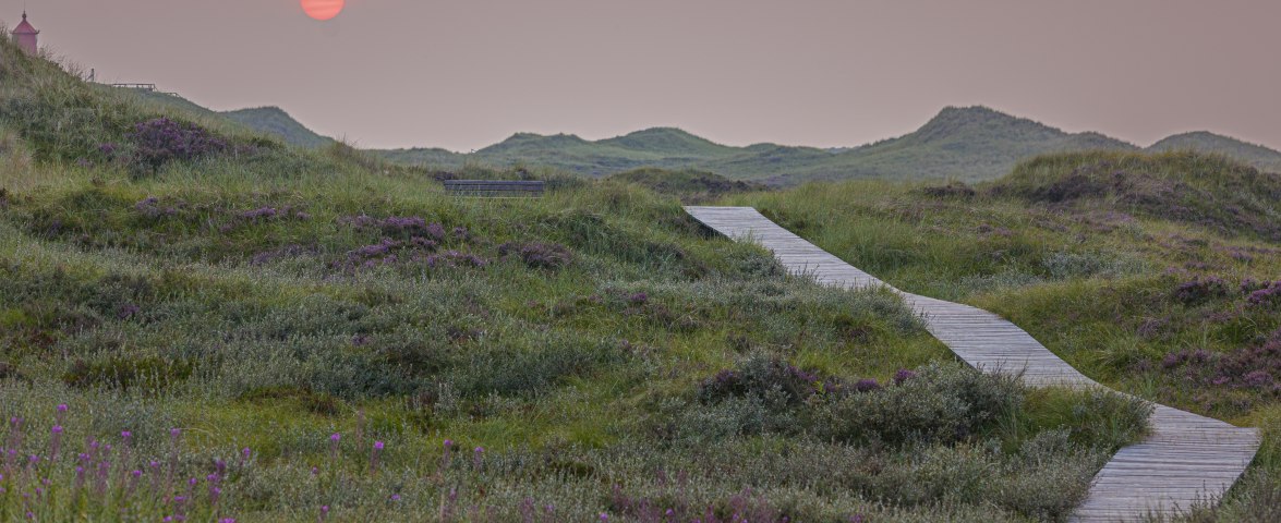 Bohlenweg_heide (c) Oliver Franke, © O.Franke Bohlenweg_heide (c) Oliver Franke, © O.Franke