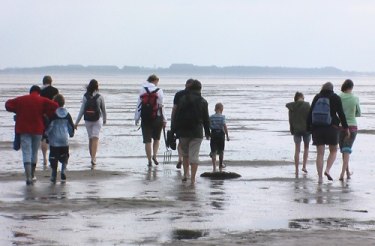 "Mehr als Sand und Schlick", © Öömrang Ferian