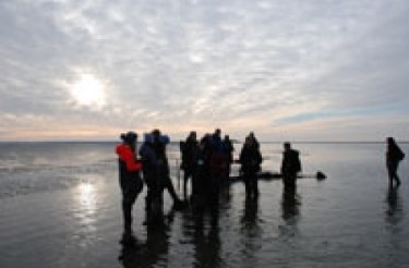 Wattwanderung zur Kormoraninsel und nach Föhr, © Dark Blome