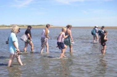 "Watt erleben", &copy; Rainhard Boyens