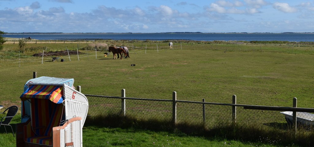 B&uuml;&uuml;renh&uuml;s, &copy; Hoefer