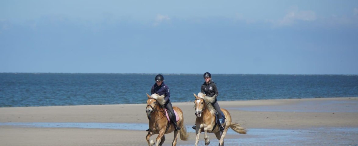 Norddorf, Reiterhof Andresen - Strandausritt, © Reiterhof Andresen