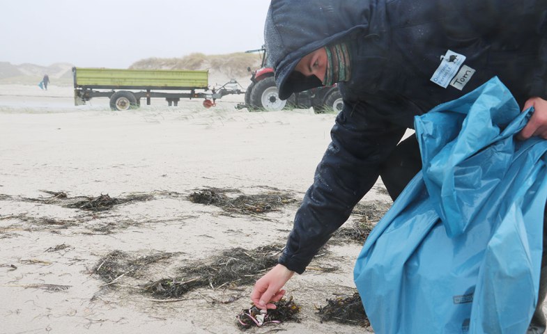 Strand sauber
