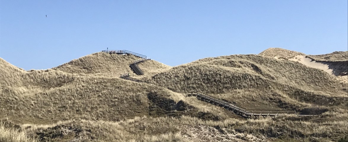 Aussichtsdüne A Siatler, © P. Totzauer