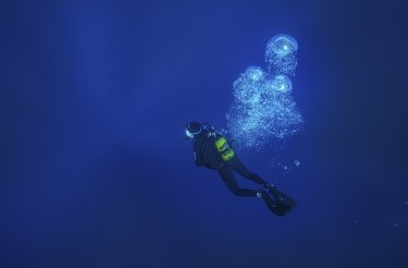 "Wasserwelten - auf Expedition f&uuml;r den Schutz der Meere", &copy; Esther Horvath