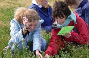 F&uuml;hrung: Was bl&uuml;ht in der Salzwiese auf Amrum?, &copy; Schutzstation Wattenmeer