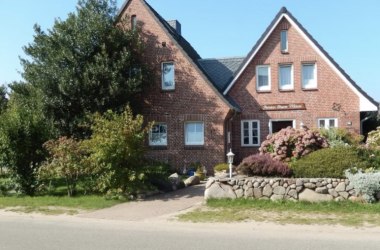 sturmmöwe