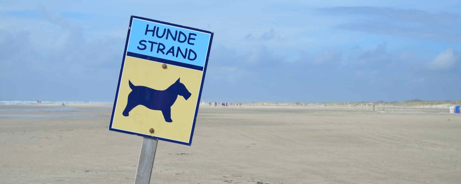 Hundestrand Amrum, © KQuedens