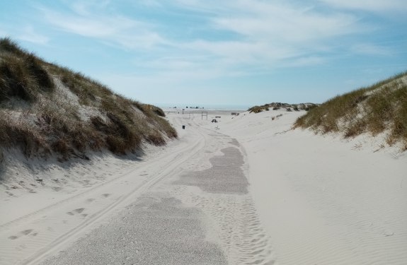 Hauptstrandübergang in Nebel, © AT