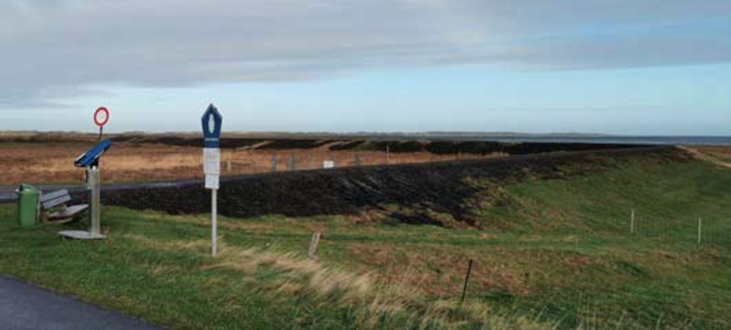 Teerdeich_Norddorf, &copy; AT