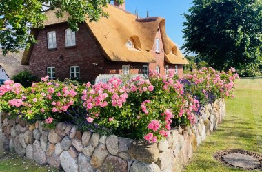Ferienhaus Bruns Stianoodswai 14a, &copy; TOMAS