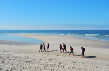 F&uuml;hrung: Der wei&szlig;e Strand von Amrum, &copy; Schutzstation Wattenmeer