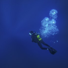 "Wasserwelten - auf Expedition für den Schutz der Meere", © Esther Horvath "Wasserwelten - auf Expedition für den Schutz der Meere", © Esther Horvath