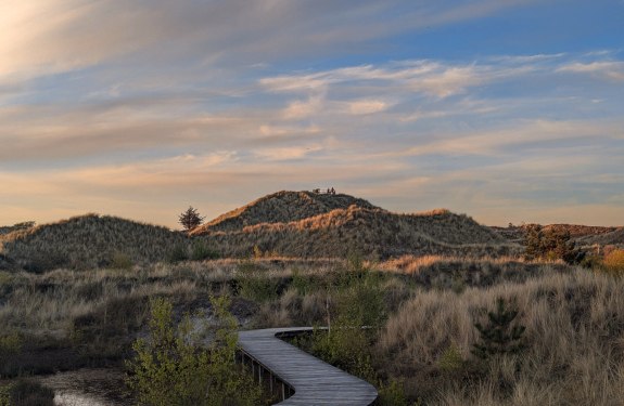 Blick auf die Aussichstd&uuml;ne, &copy; Lars Rickerts