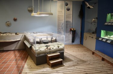 "Hummer hautnah", © Öömrang Ferian