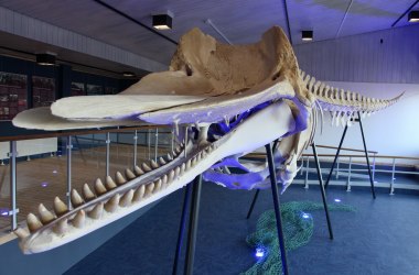 Der Pottwal von Amrum, &copy; &Ouml;&Ouml;mrang Ferian