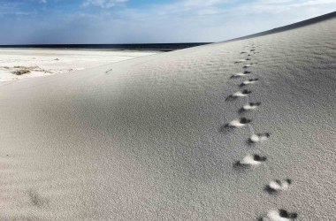 spuren-im-sand, © Stephanie Wörner