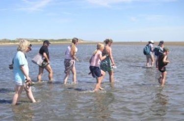 "Watt erleben", &copy; Rainhard Boyens