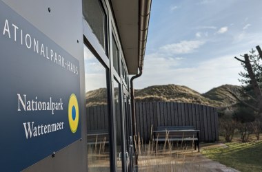 Unterwasser auf der Straße: Meeresmotive mit Straßenkreide gestalten, © Schutzstation Wattenmeer