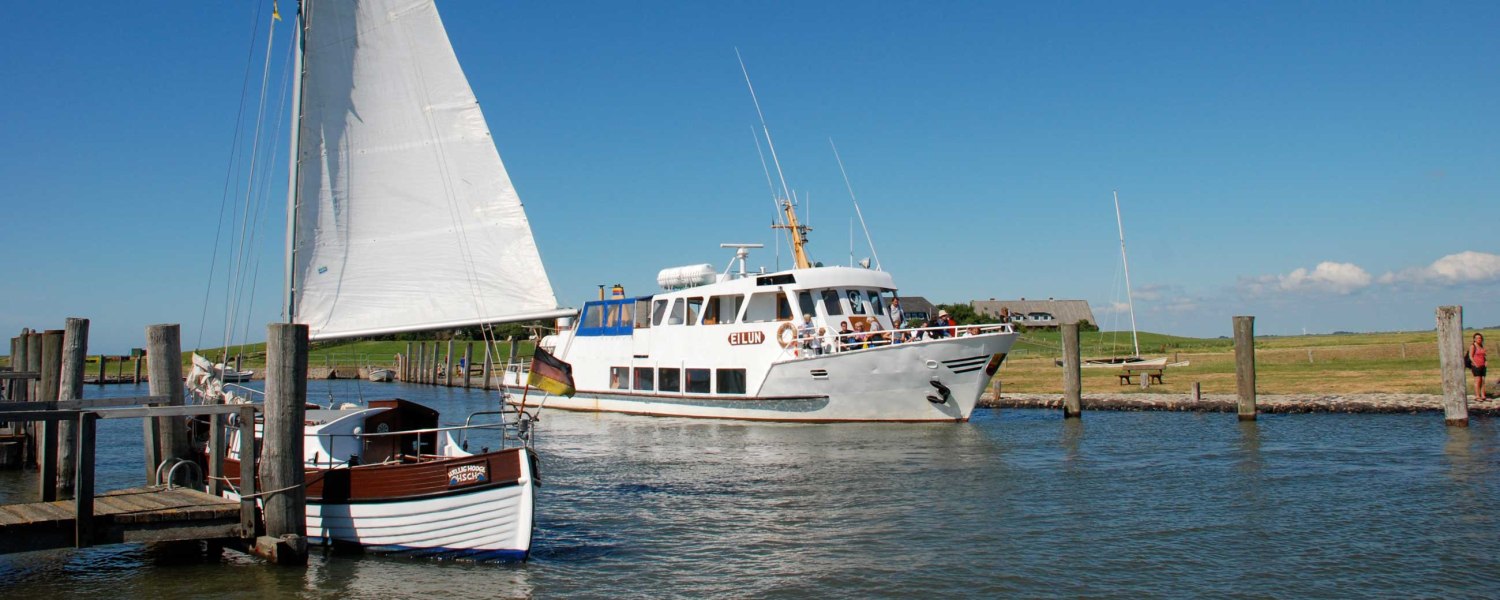 Ausflugsfahrt mit der Eilun von Amrum