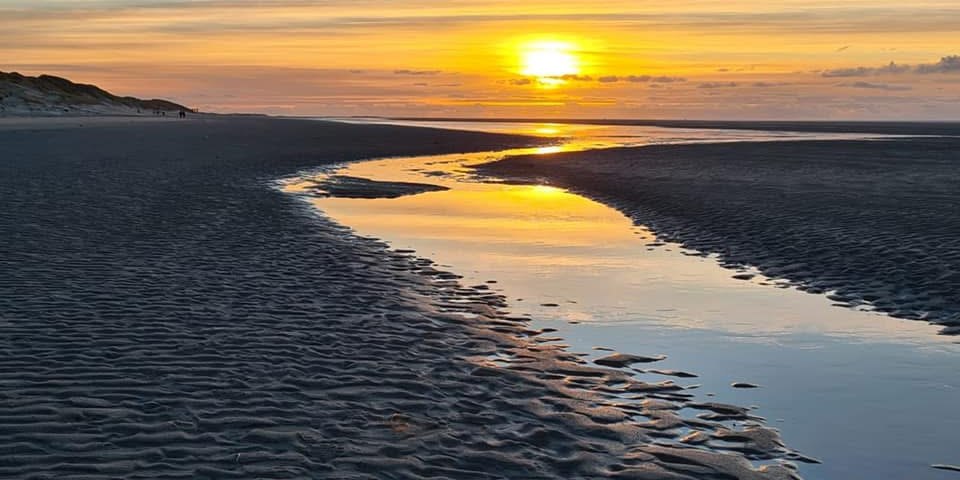 Abendsonne, &copy; D&ouml;rte P&uuml;tter