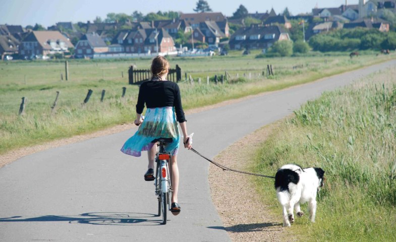 Radfahren Amrum, © KQuedens