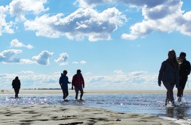 Wattwanderung nach Föhr, © Henrik Hansen
