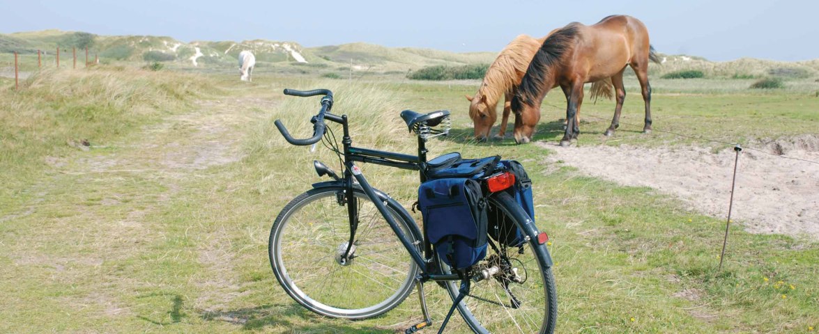 Fahrrad Amrum, &copy; Kai Quedens