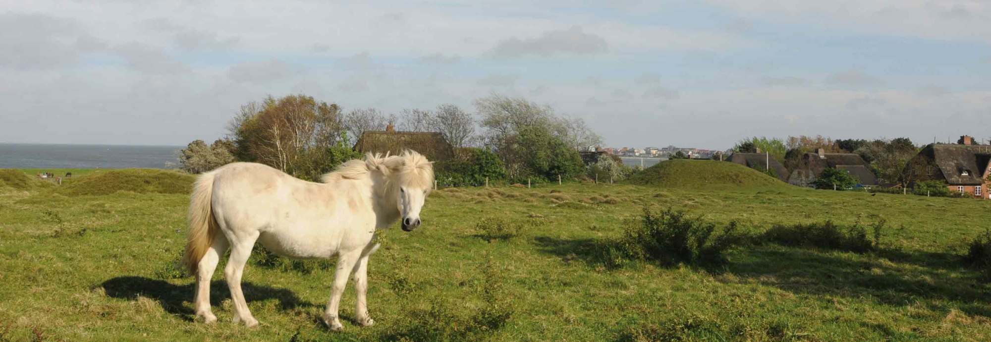 Steenodde-Amrum-Hügelgräber, © Kai Quedens