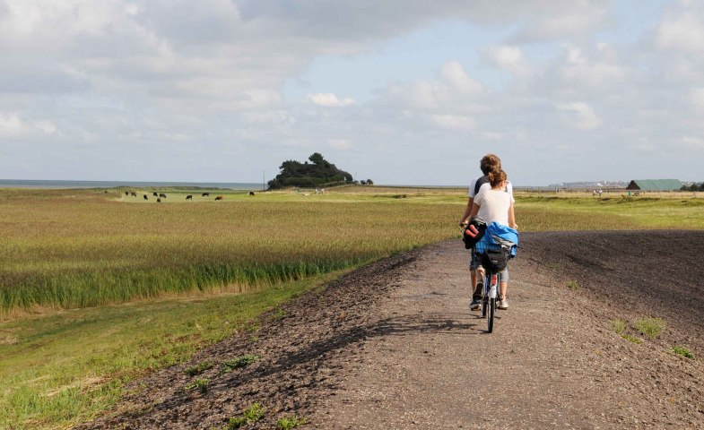 Amrum-Radfahrer-auf-dem-Deich, © Kai Quedens