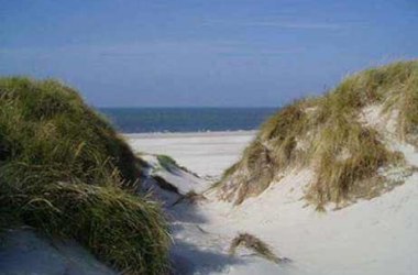 Ladschaftspflege in den Dünen, © AmrumTouristik AöR