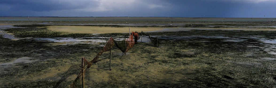 1. Platz, &copy; Volker Fabian, Witten