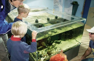 Naturschutzzentrum Amrum , © Kai Quedens
