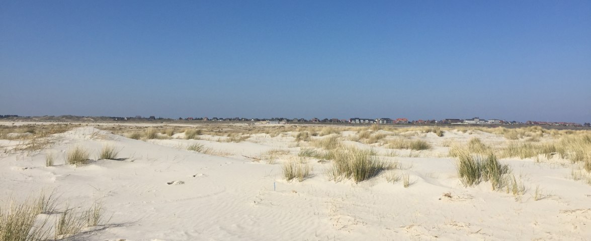 Kniepsand, &copy; Joachim Siebert