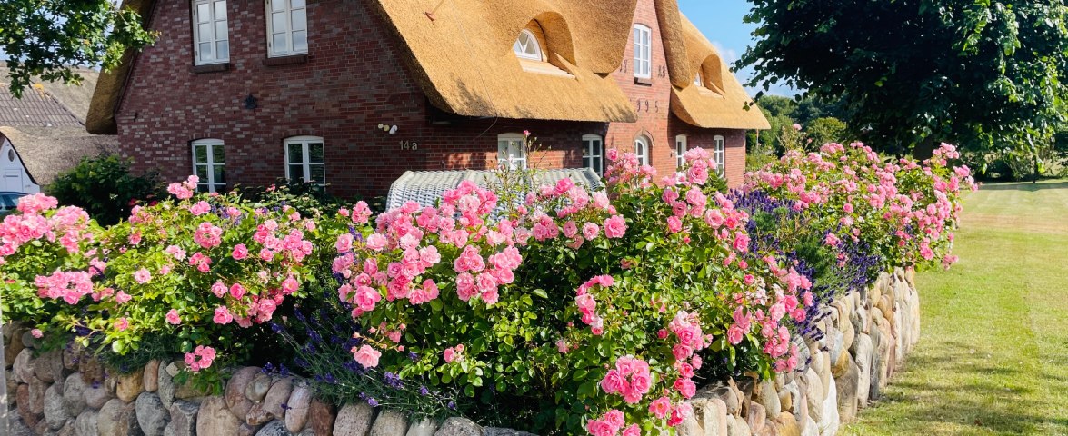 Ferienhaus Bruns Stianoodswai 14a, © TOMAS