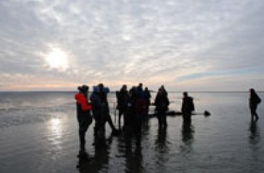 Wattwanderung zur Kormoraninsel und nach F&ouml;hr, &copy; Dark Blome