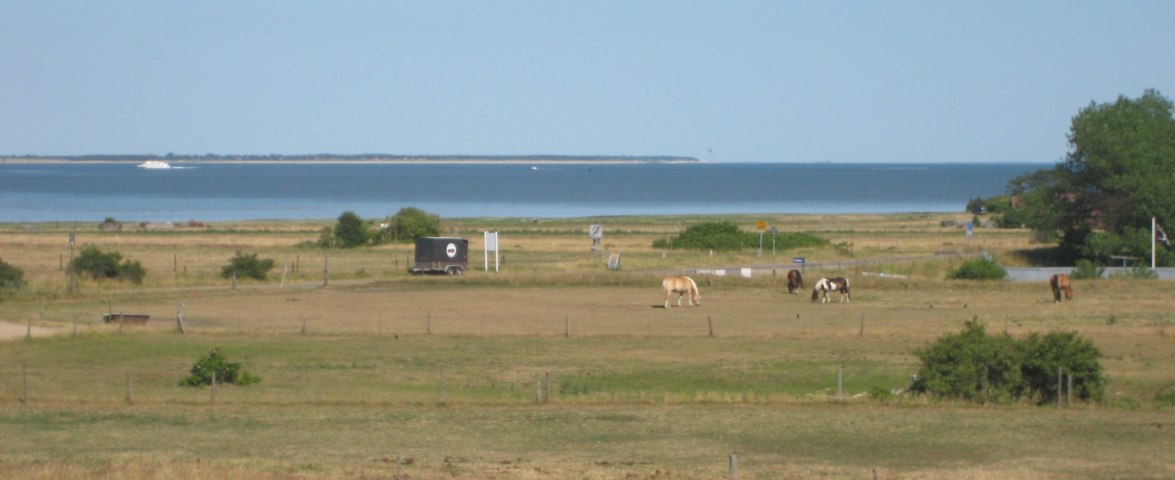 Aussicht auf Pferdewiesen und Watt, &copy; Christoph Geissler
