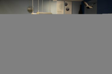 "Hummer hautnah", © Öömrang Ferian