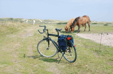 Rad-und-Pferde-auf-Amrum, © KQuedens
