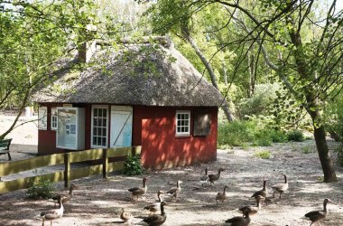 Nebel, Vogelkoje - Vogelwartshaus, © AT Nebel, Vogelkoje - Vogelwartshaus, © AT