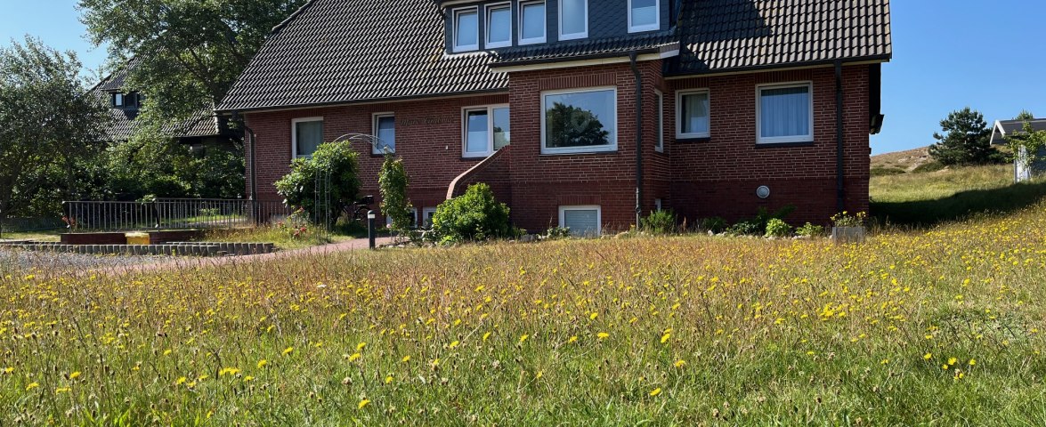 Blick von der Stra&szlig;e, &copy; Katja Krahmer