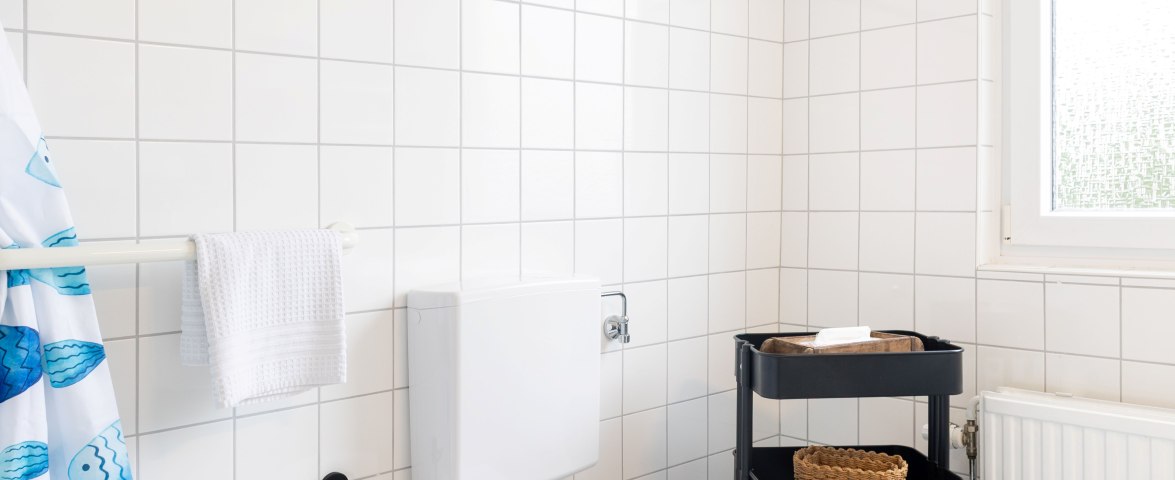 Toilette, &copy; TOMAS