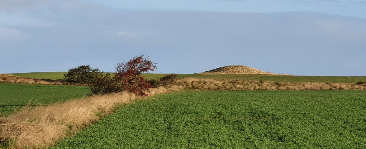 Klaffhuuch, &copy; Lars Rickerts