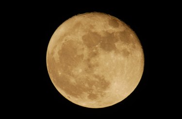 Earth Night: Sinnliche Nachtwanderung durch die Dünen, © Björn Philipps