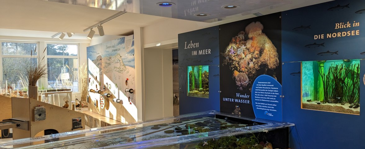 Innenraum, © N.Löschner