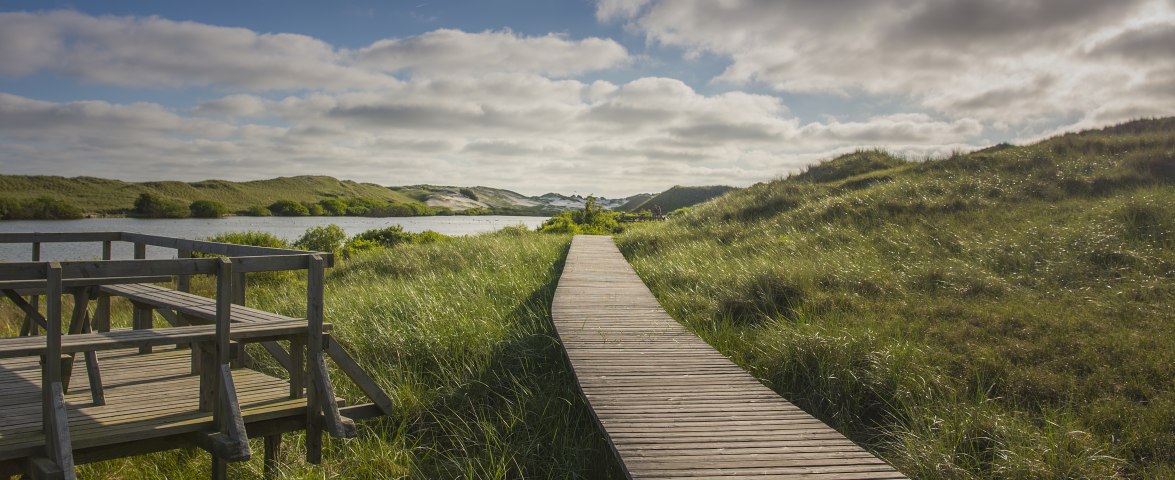 Amrum_Duenenwanderweg1027, © O. Franke