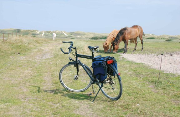 Fahrrad Amrum, © Kai Quedens