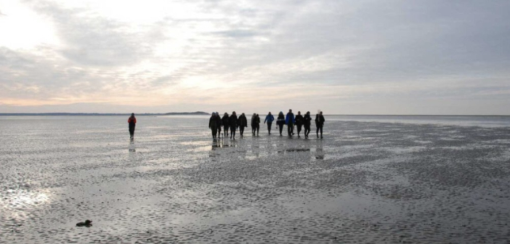 Wattwanderung_Sommer, © D.Blome