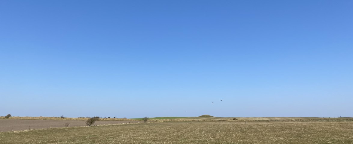 Krümwaal, © AT